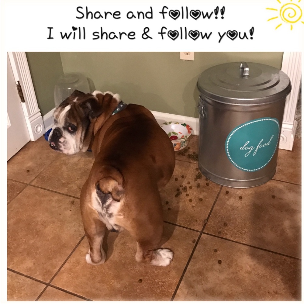 Rocky is not fur sale, but he 💕to share the ❤!